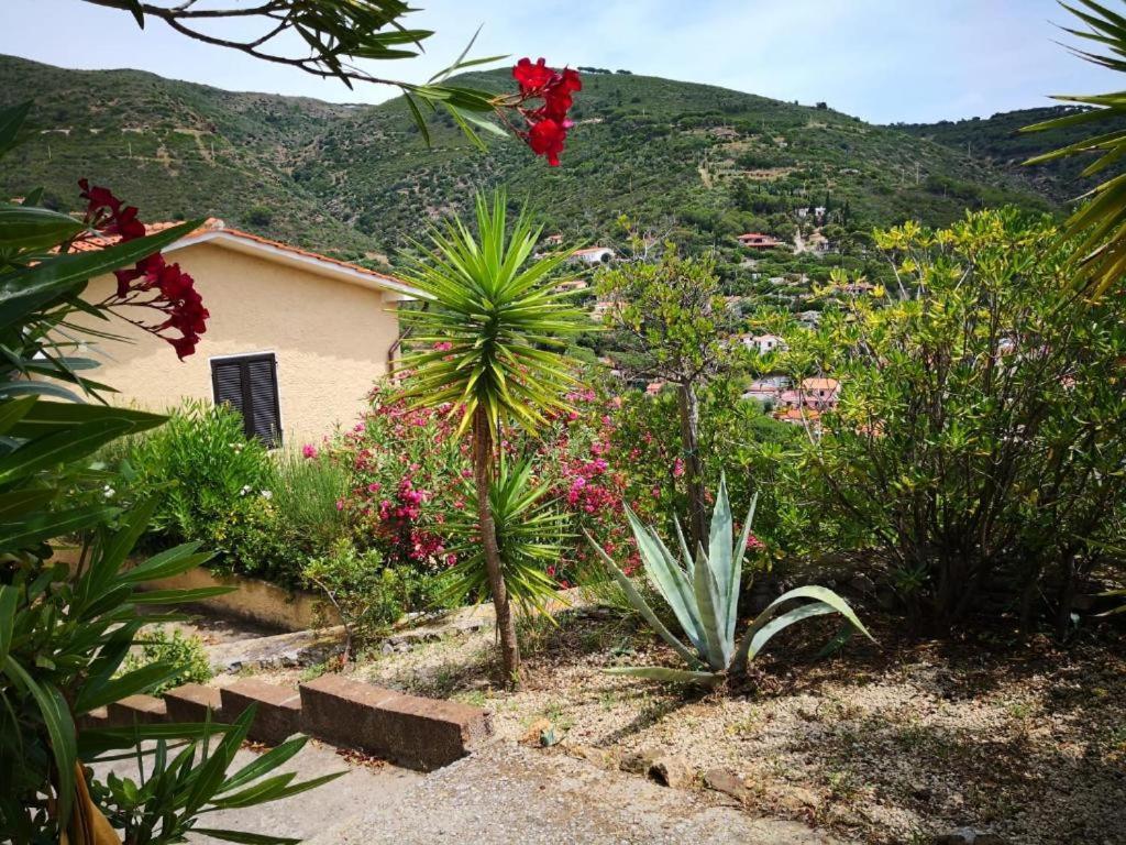 Vista Su Morcone * Capoliveri (Isola d'Elba)